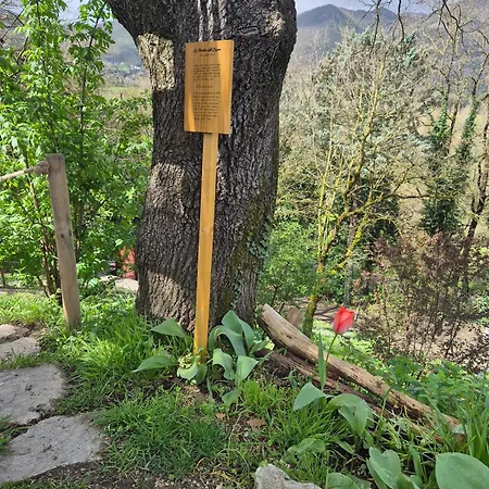 Colle Di Terria Contigliano