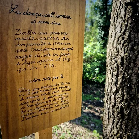 Colle Di Terria * Contigliano