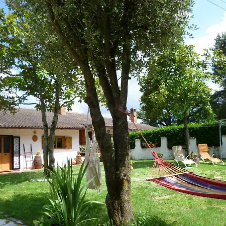 Bed & Breakfast Colle Di Terria *